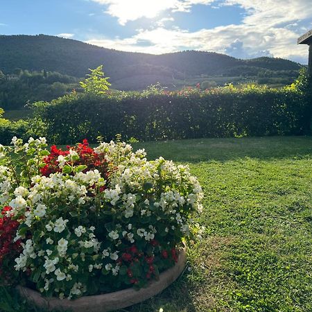 سان جيمينيانو Villa Del Sole المظهر الخارجي الصورة