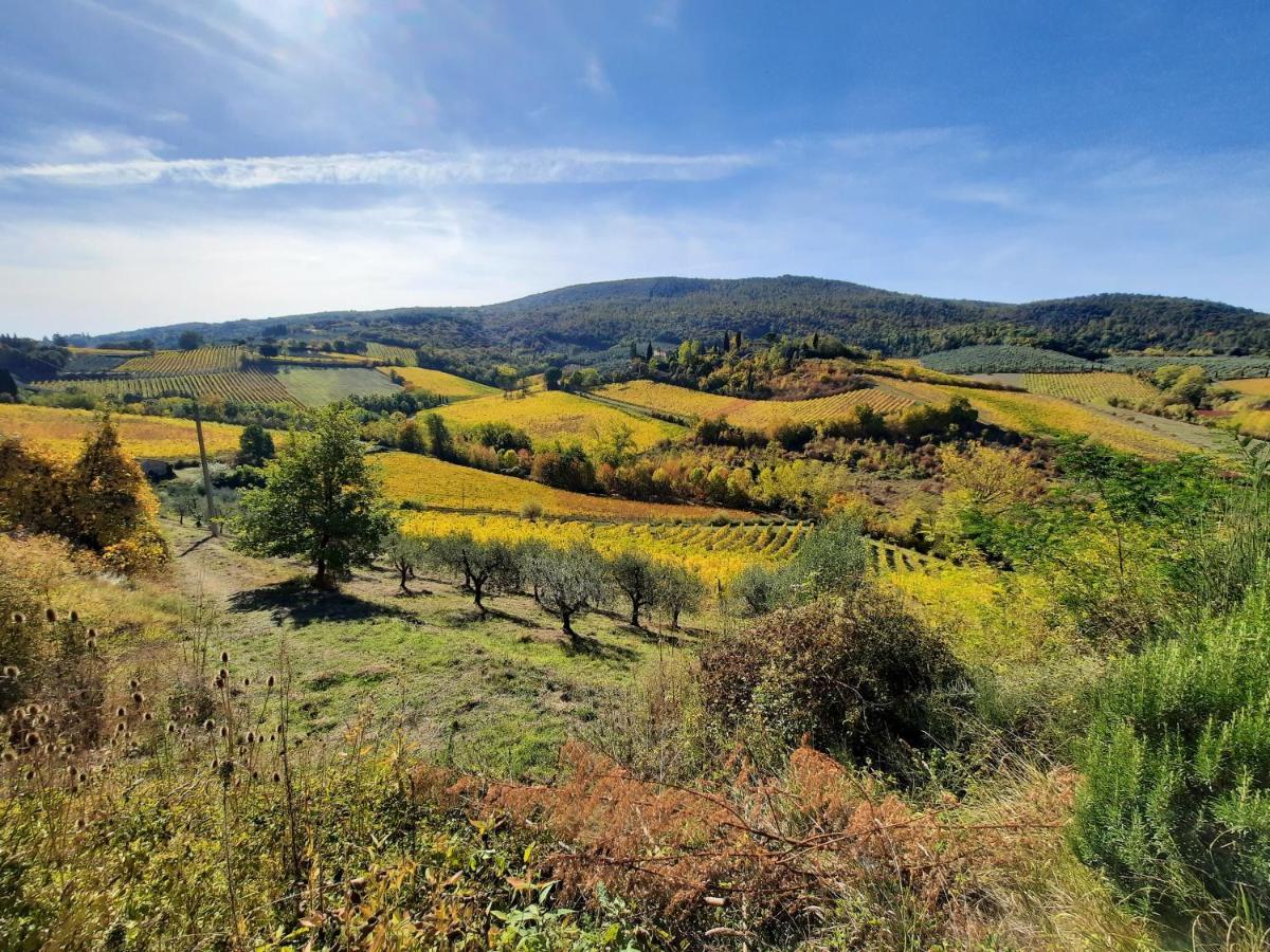 سان جيمينيانو Villa Del Sole المظهر الخارجي الصورة