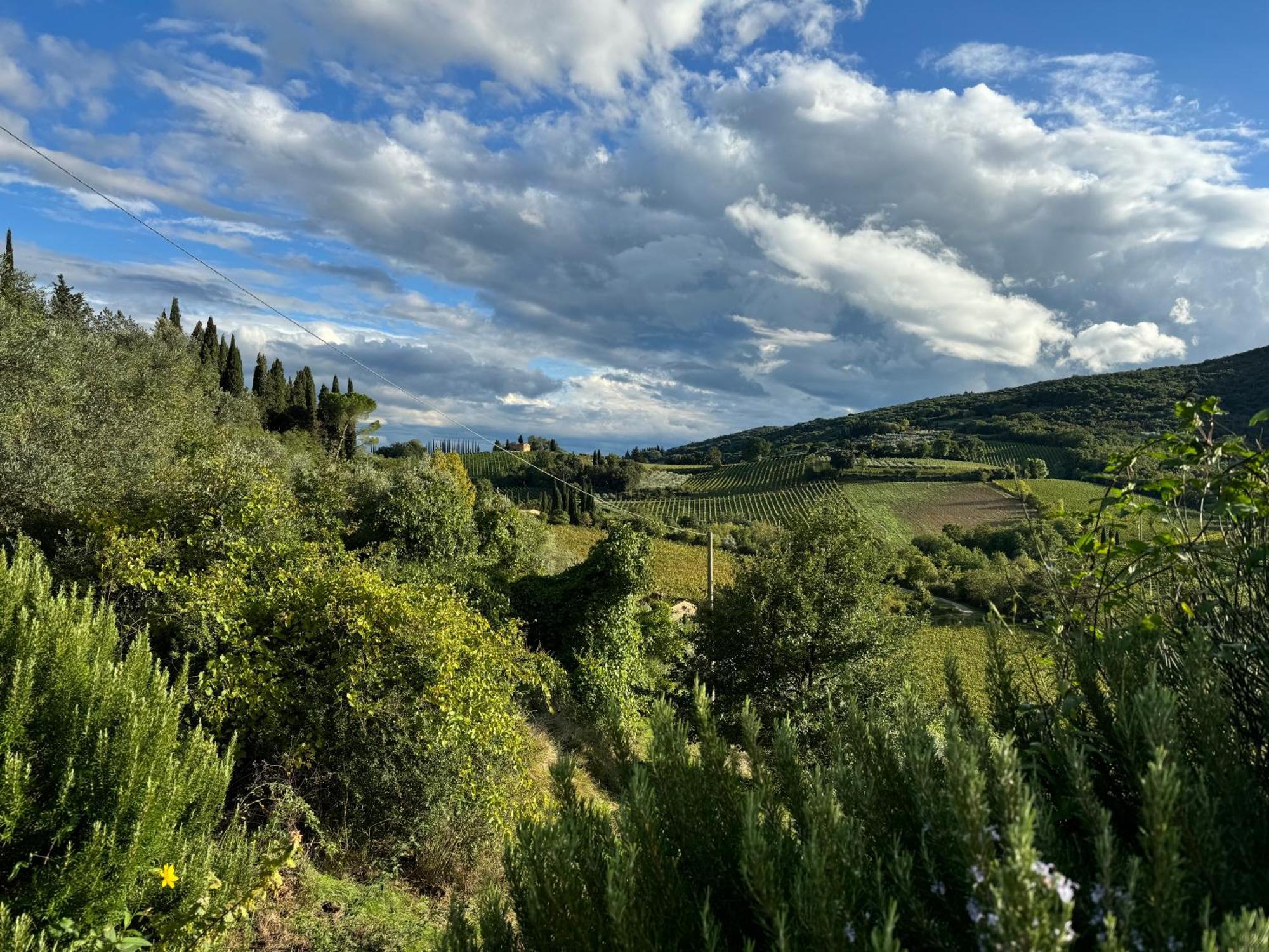 سان جيمينيانو Villa Del Sole المظهر الخارجي الصورة